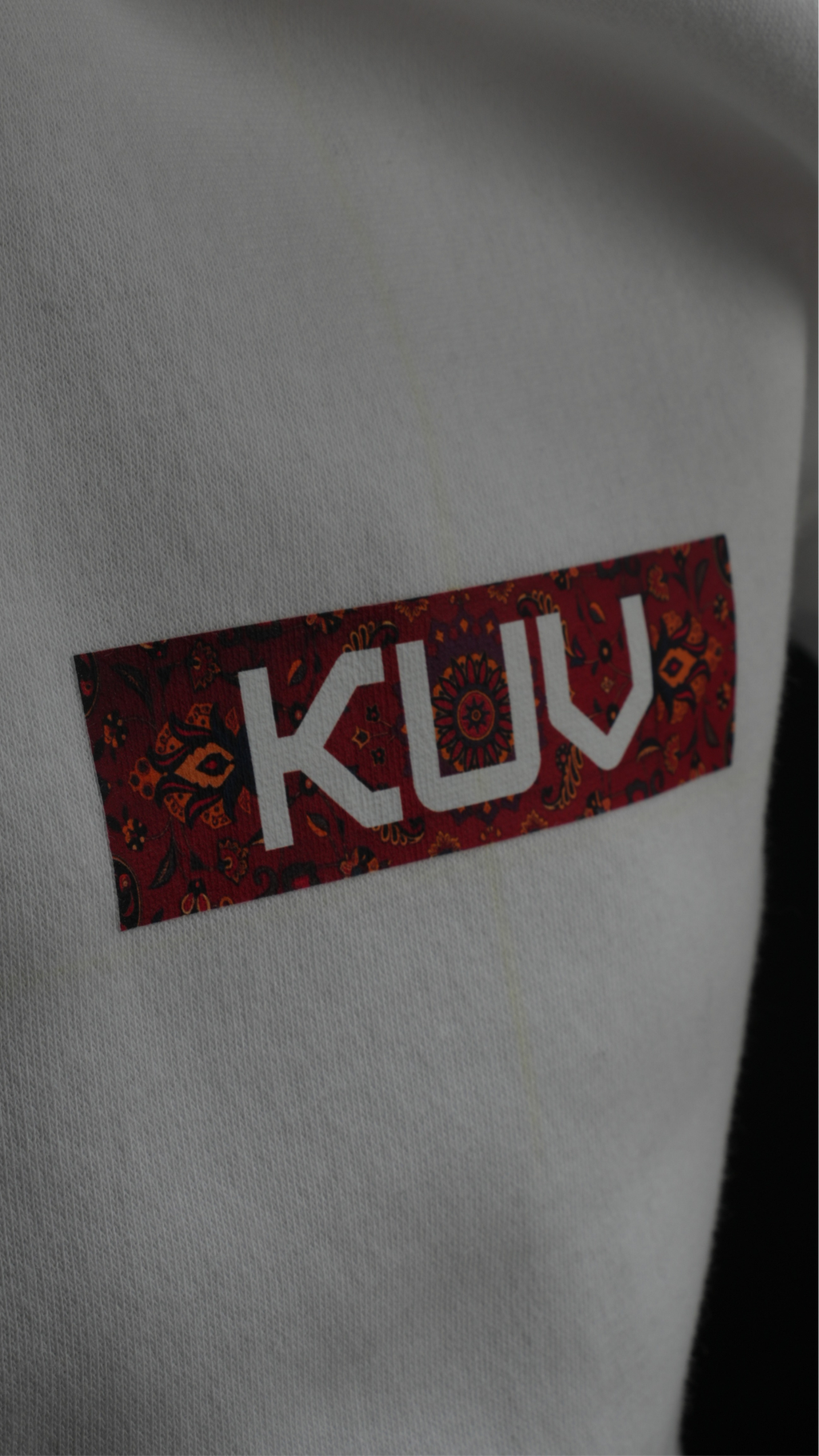 Culture in Motion hoodie